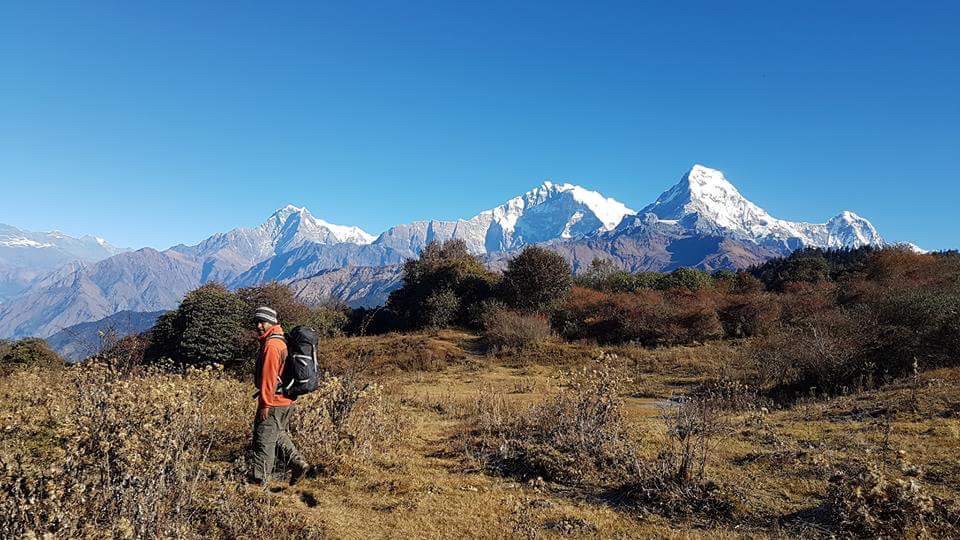 Ghorepani Poon Hill Trek